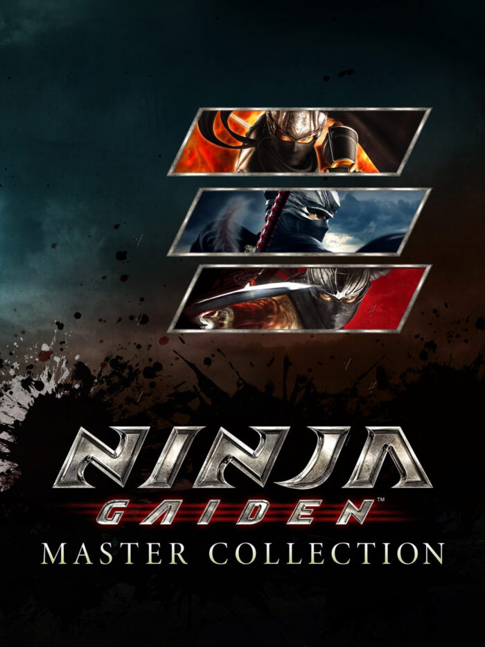 ninja gaiden master collection cover original - SpelsLeutels